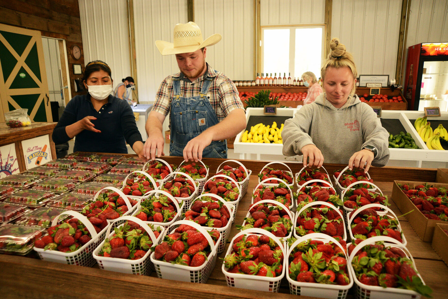 Strawberries 2021